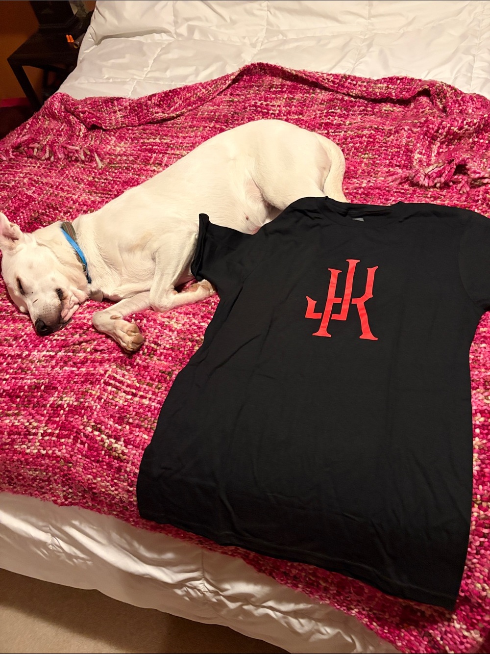 JoKoy  Graphic Tee with Red Logo